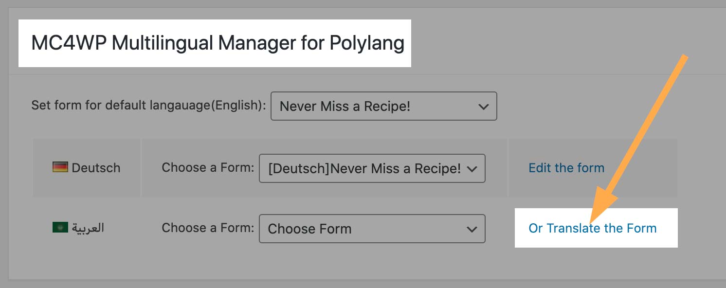 Translate the form into another language