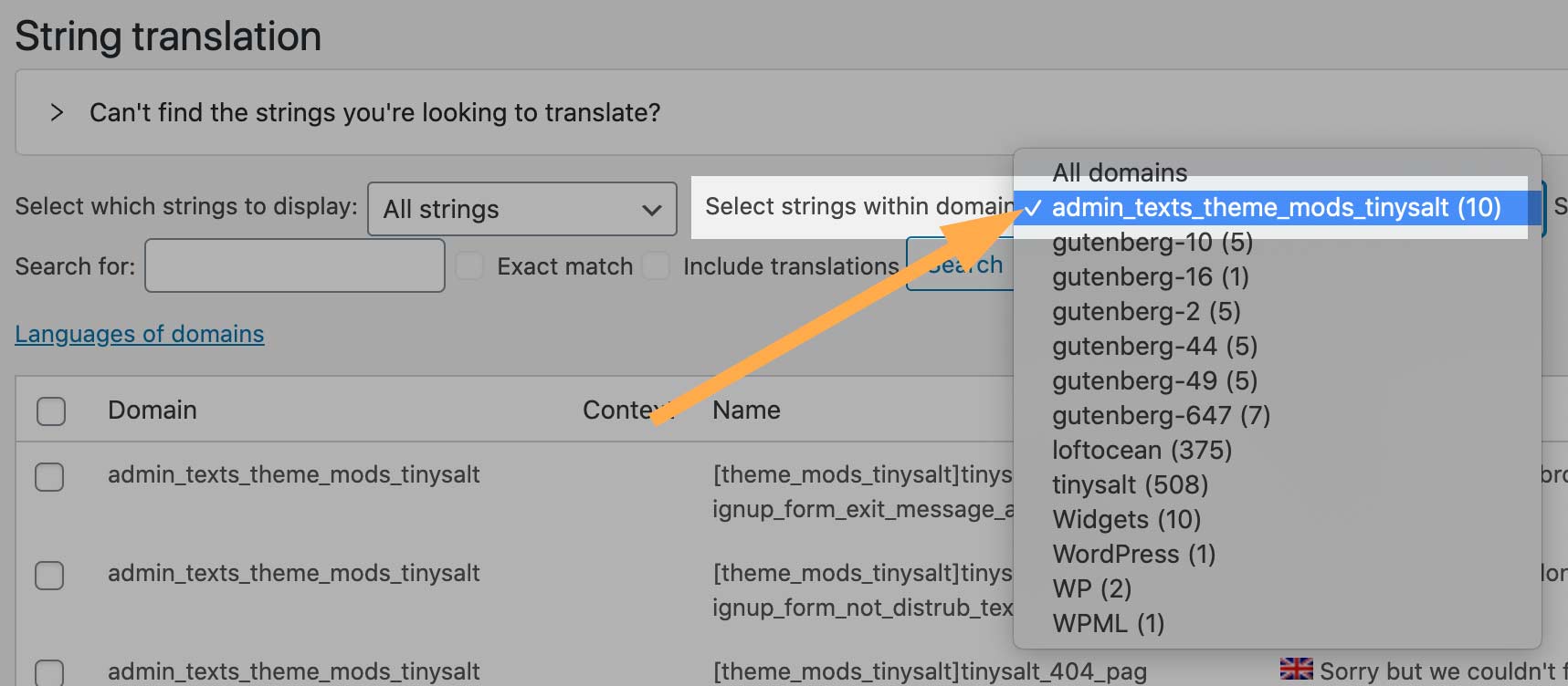 Select string within domain - for text added in customizer